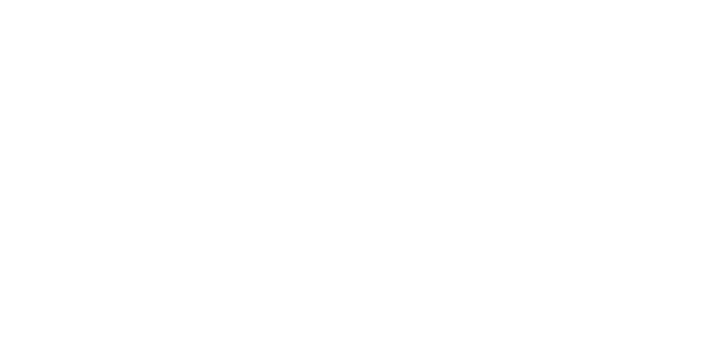 lakestar logo